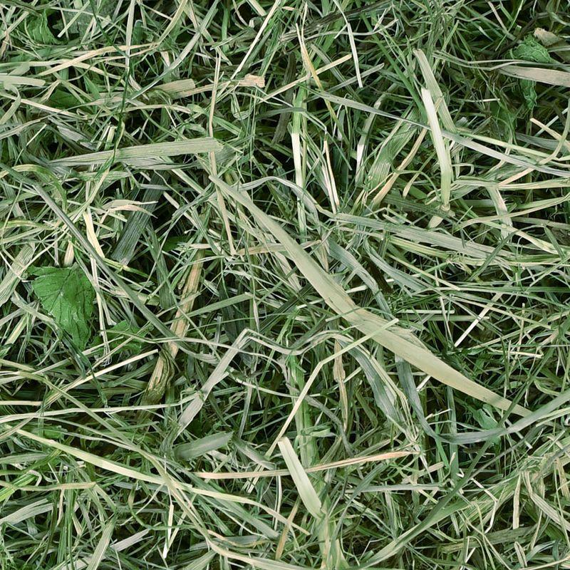 Bitiba Fieno di prato di montagna Chipsi Sunshine Bio Plus Presa