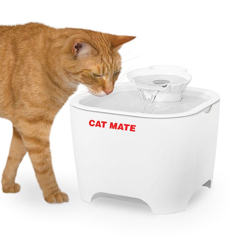 Bitiba Fontana Cat Mate Shell I Più Venduti