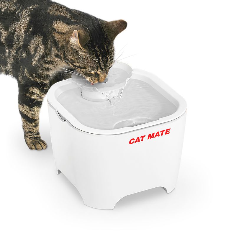 Bitiba Fontana Cat Mate Shell I Più Venduti