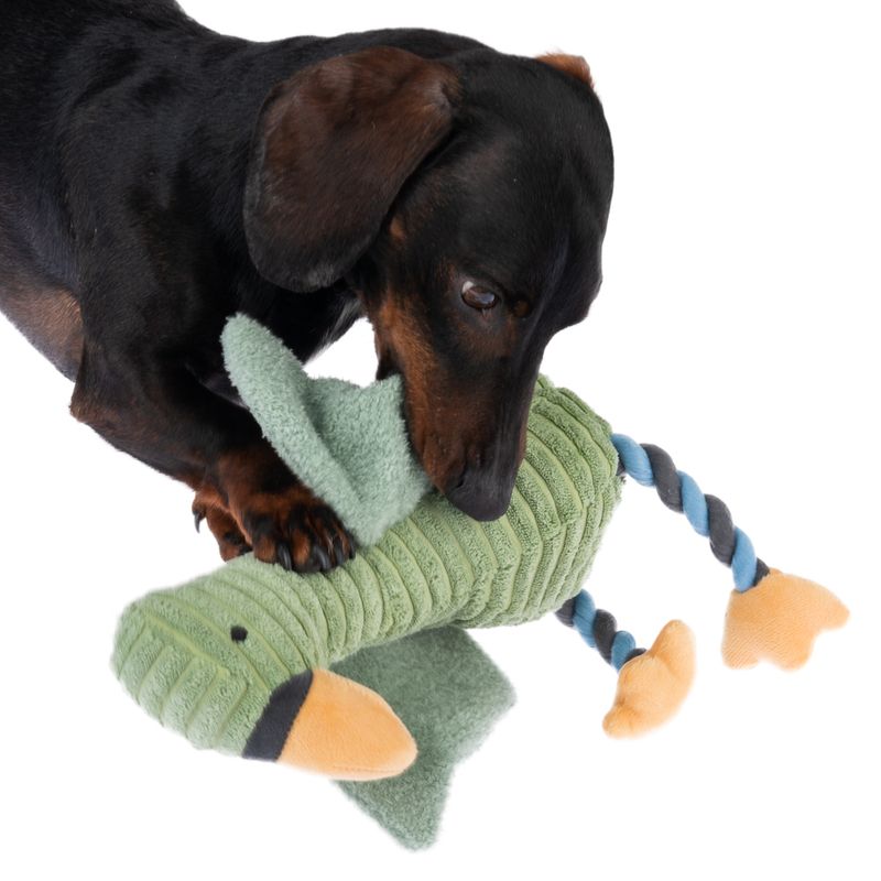 Bitiba Gioco per cani TIAKI Gabbiano Aral Nuovo