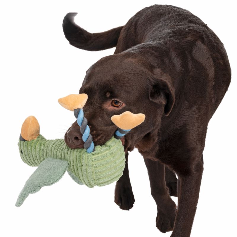 Bitiba Gioco per cani TIAKI Gabbiano Aral Nuovo