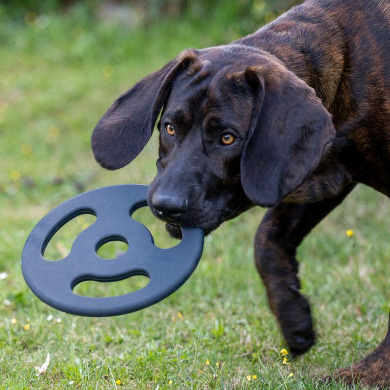 Bitiba Gioco per cani Nomad Tales Bloom Ultra strong Frisbee Italy