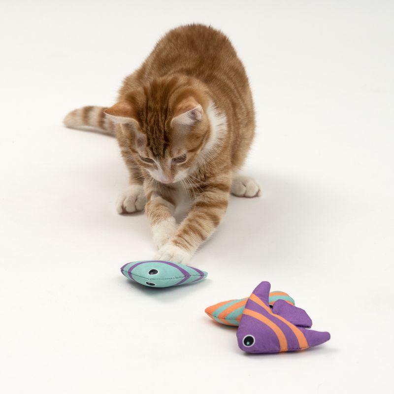 Bitiba Gioco per gatti TIAKI Pesci con catnip Spedizione Gratuita