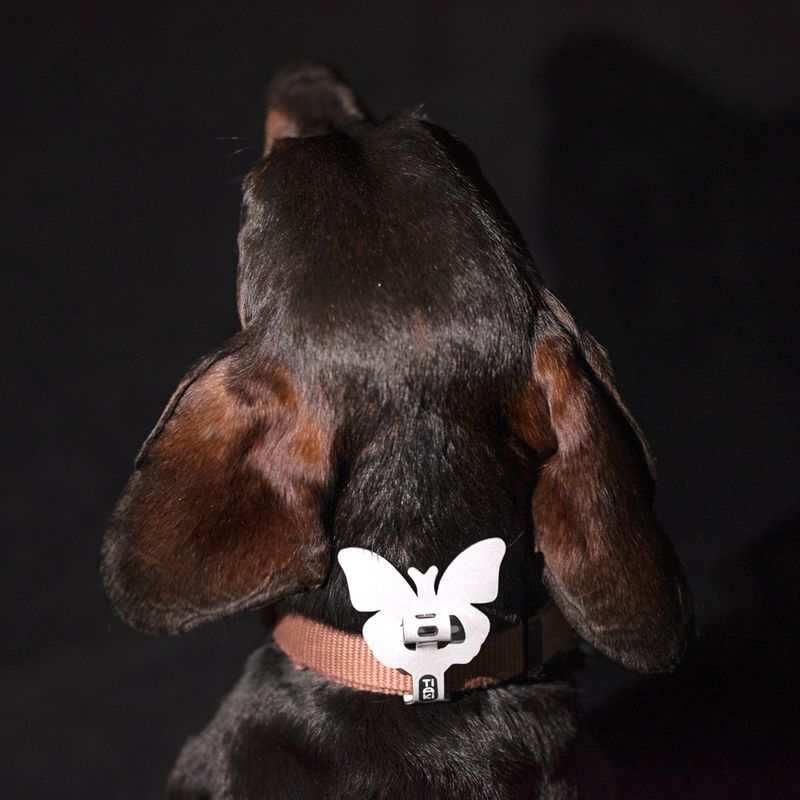 Bitiba Set figure riflettenti TIAKI per cane Negozi Online