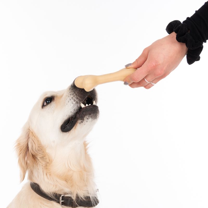 Bitiba TIAKI Osso in gomma Gioco per cane Acquista Ora