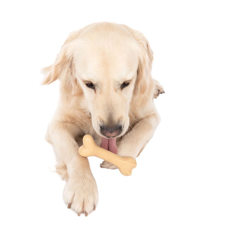 Bitiba TIAKI Osso in gomma Gioco per cane Acquista Ora