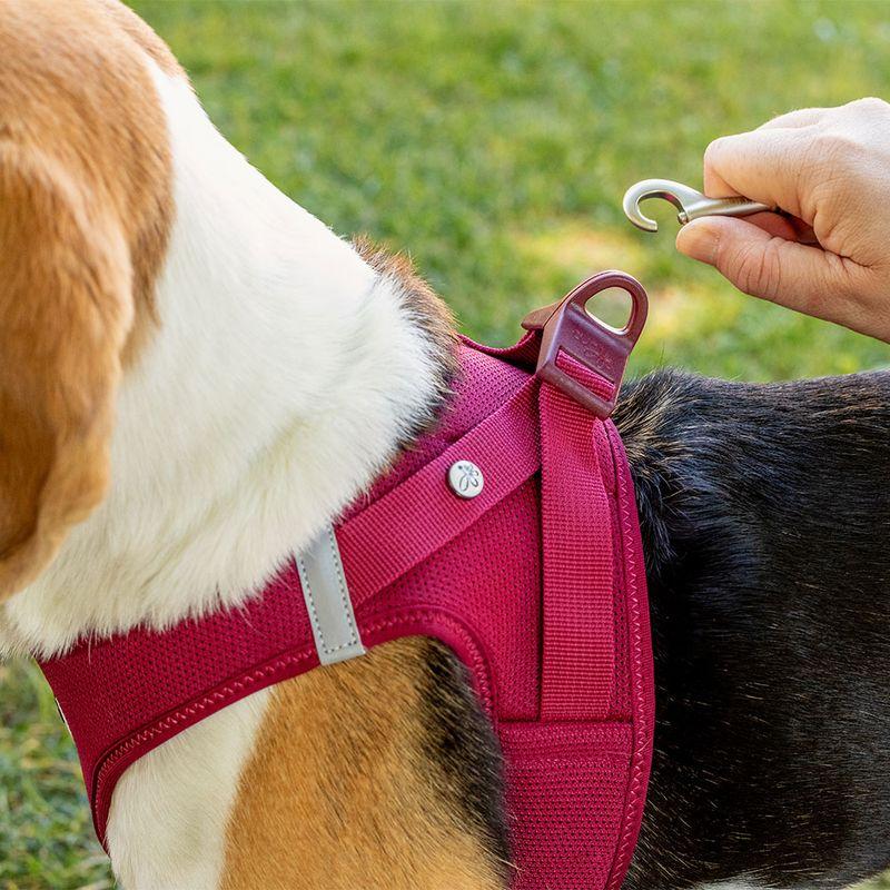 Bitiba Pettorina curli Vest Clasp Air-Mesh - fucsia Sconto