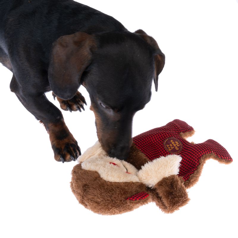 Bitiba Gioco per cani TIAKI Winkie Monkey Economico