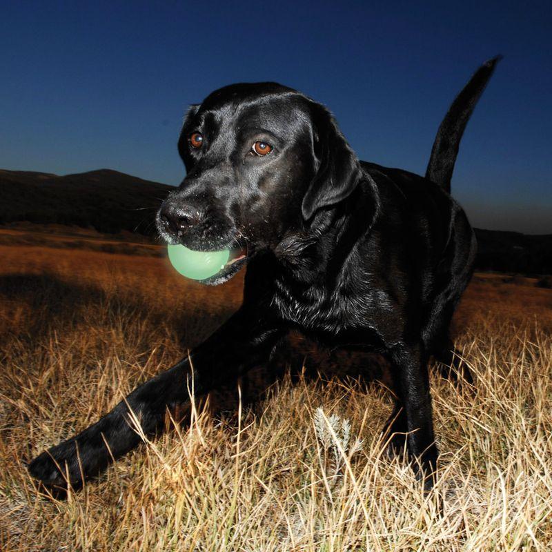 Bitiba Chuckit Palla gioco Max Glow Ball Convenienza