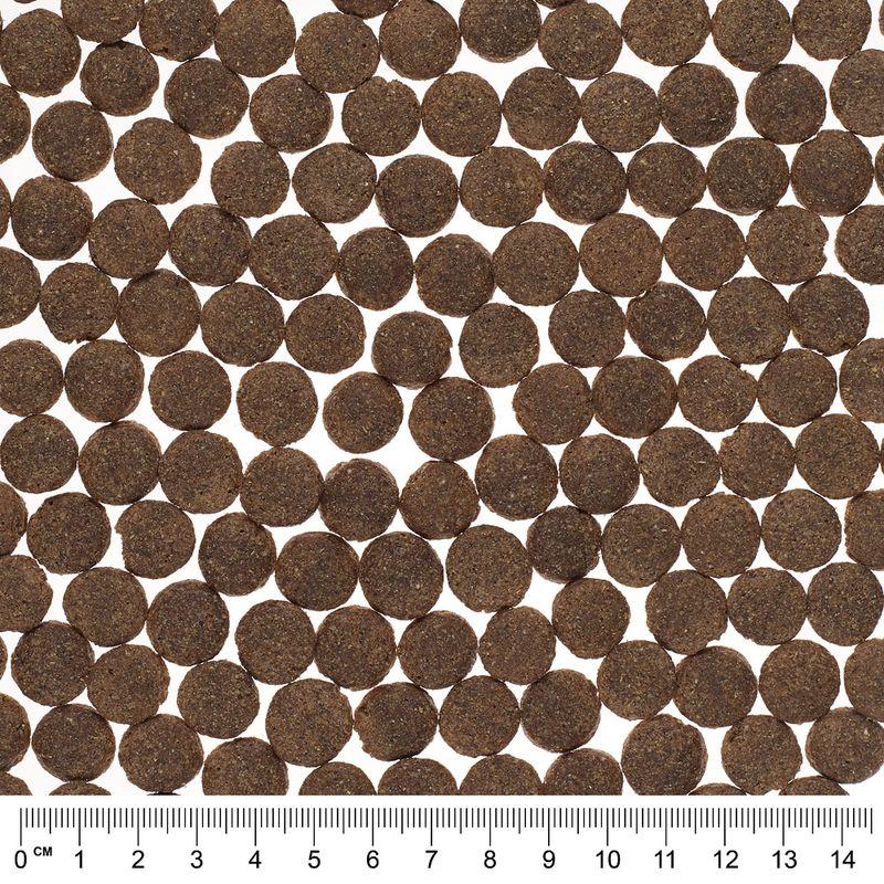 Bitiba Fai scorta 2 x 12 kg Briantos senza cereali Novità