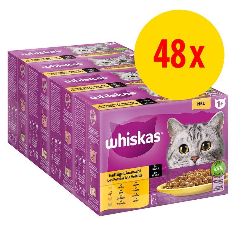 Bitiba Whiskas 1+ buste 48 x 85 g Alimento umido per gatti