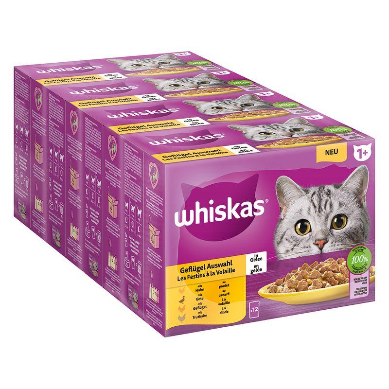 Bitiba Whiskas 1+ buste 48 x 85 g Alimento umido per gatti Outlet