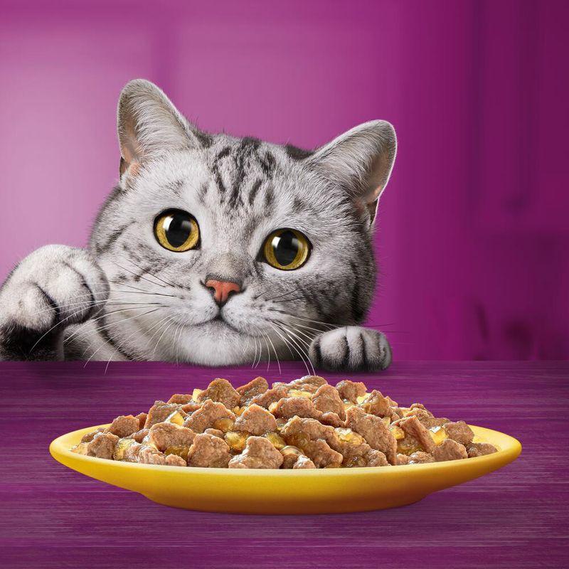 Bitiba Whiskas 1+ buste 48 x 85 g Alimento umido per gatti Outlet