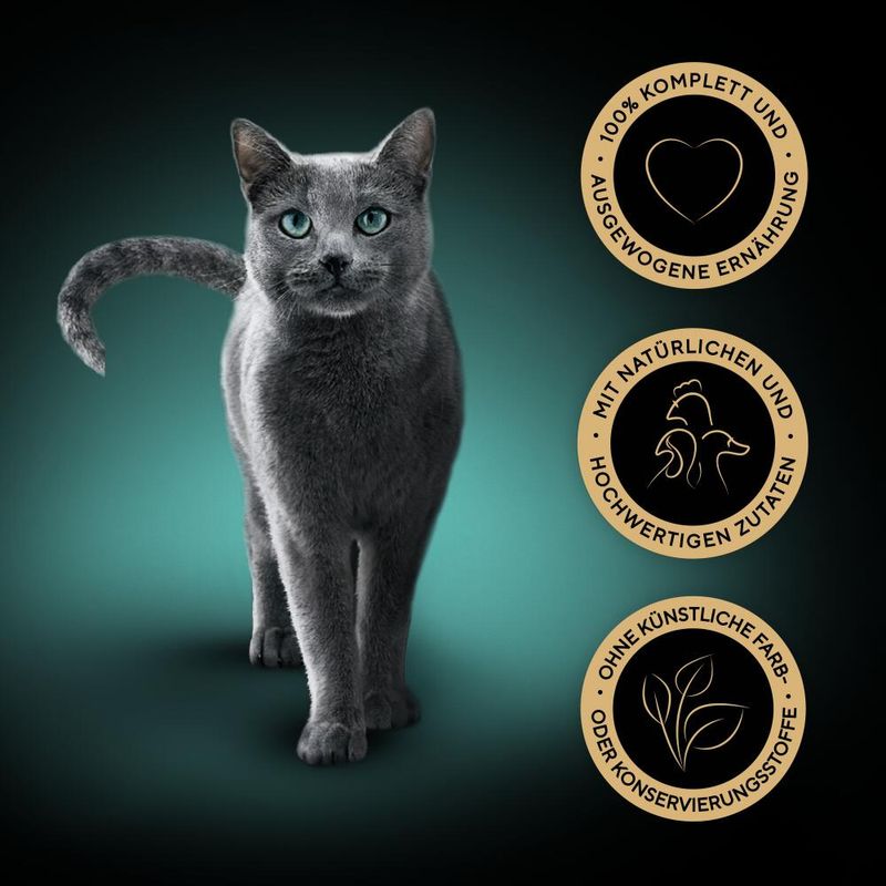 Bitiba Sheba Variazioni Buste 120 x 85 g Umido per gatto Italia