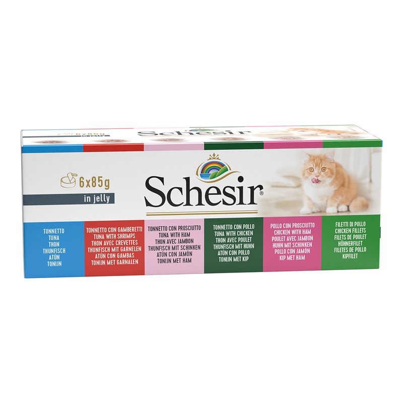 Bitiba Schesir in Gelatina 6 x 85 g 2025