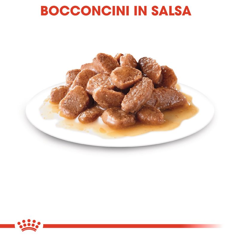 Bitiba Royal Canin Sterilised umido in Salsa per gatti Promozione