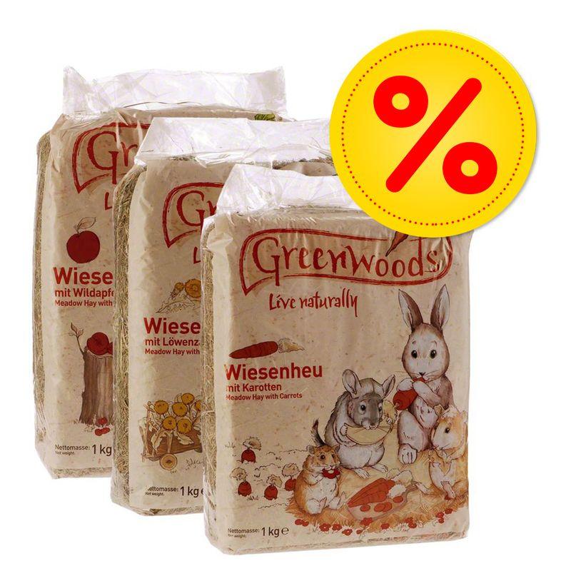 Bitiba 3 x 1 kg Fieno di prato Greenwoods