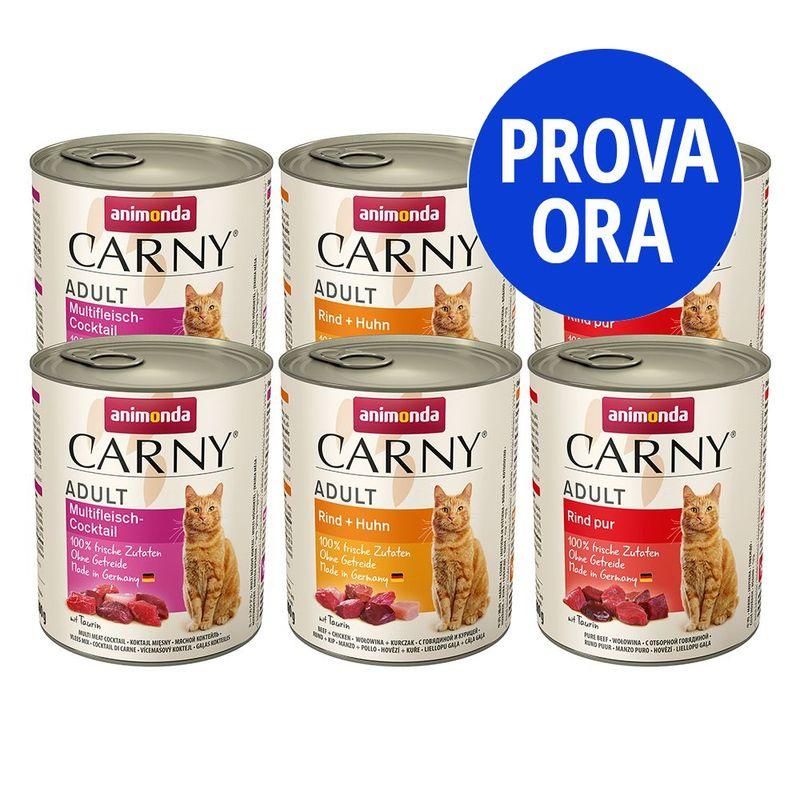 Bitiba Provalo animonda Carny Adult 6 x 800 g