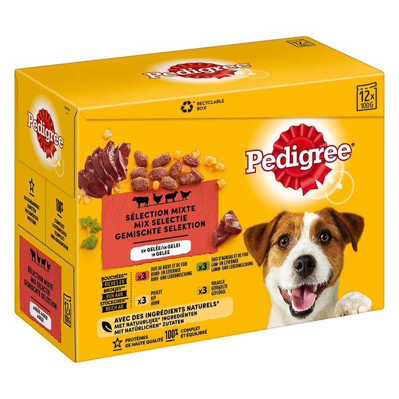 Bitiba Multipack Pedigree in Gelatina umido cane