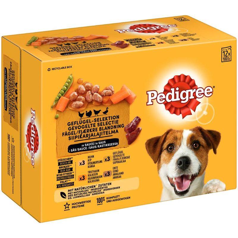 Bitiba Multipack Pedigree in Gelatina umido cane Shopping Online
