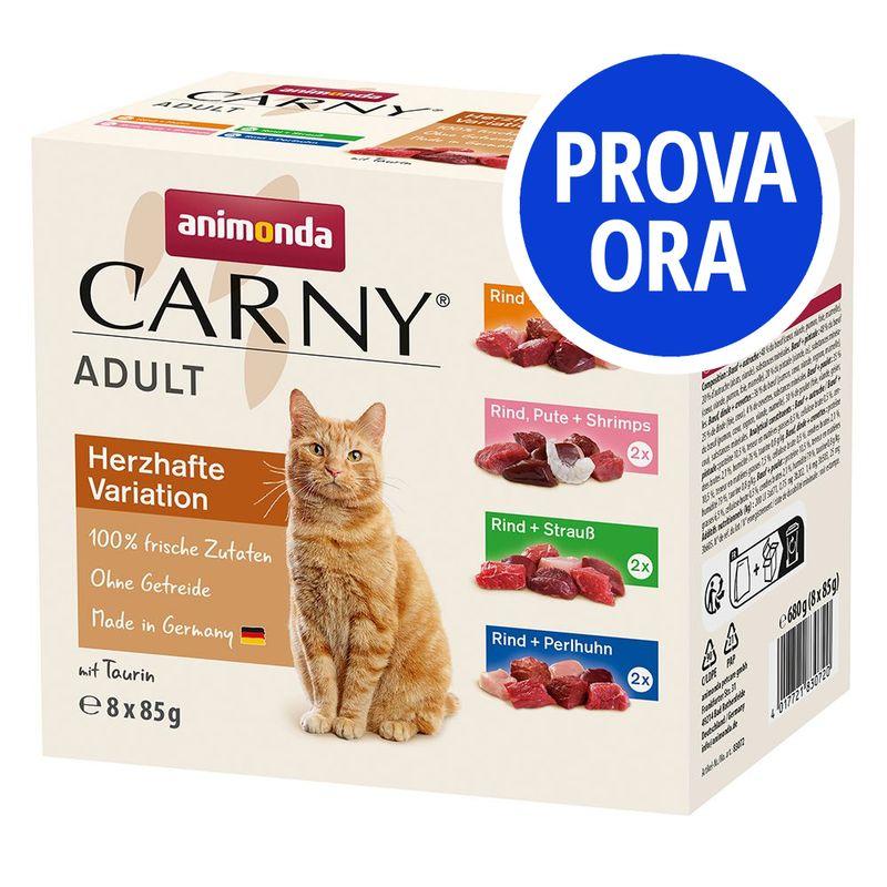 Bitiba Provalo animonda Carny Buste Multipack 8 x 85 g umido per gatti