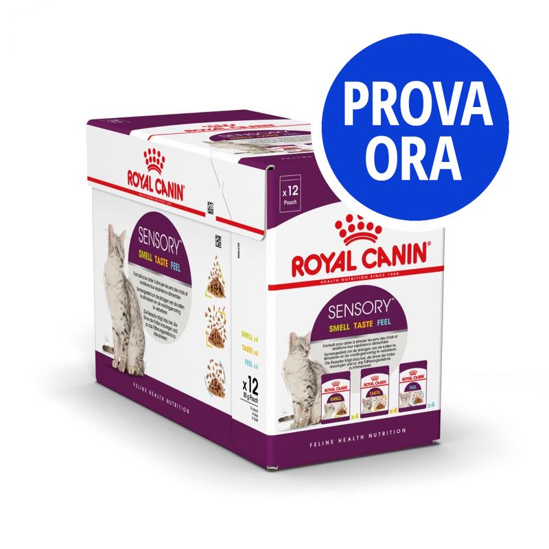 Bitiba Royal Canin Sensory in Salsa Pacco misto umido per gatti