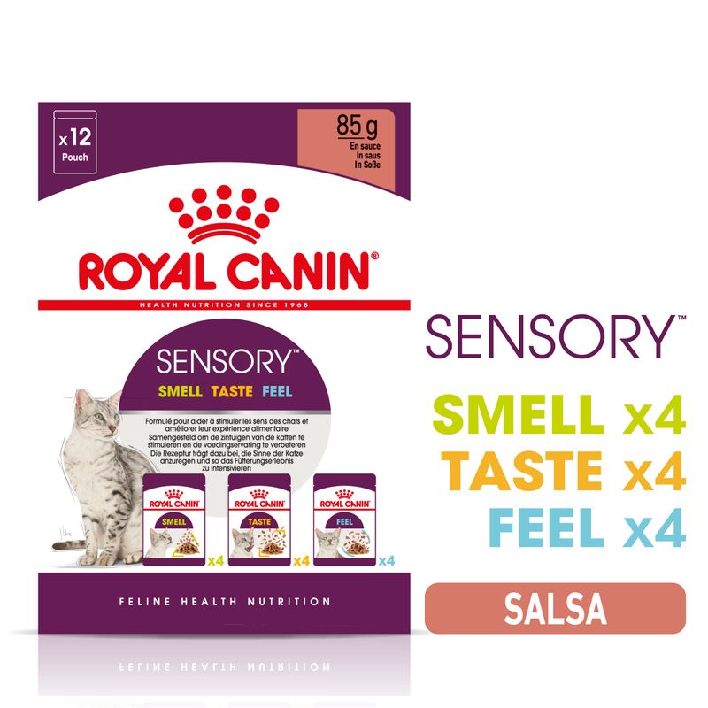 Bitiba Royal Canin Sensory in Salsa Pacco misto umido per gatti Convenienza
