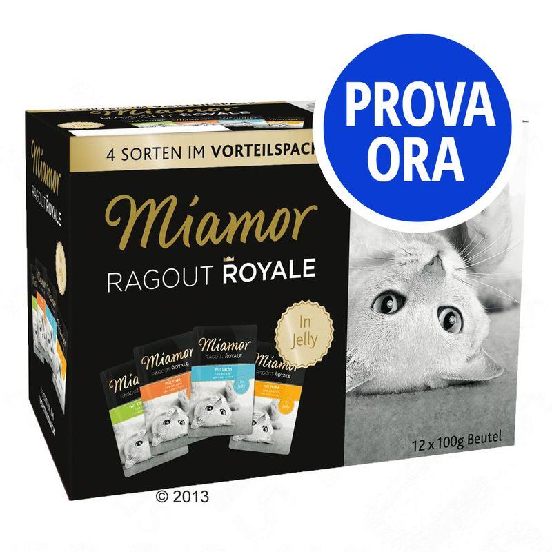 Bitiba Provalo Set misto Miamor Ragù Royal in Gelatina 12 x 100 g