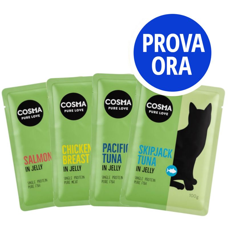 Bitiba Provalo Cosma Original Buste Saldi Di Fabbrica