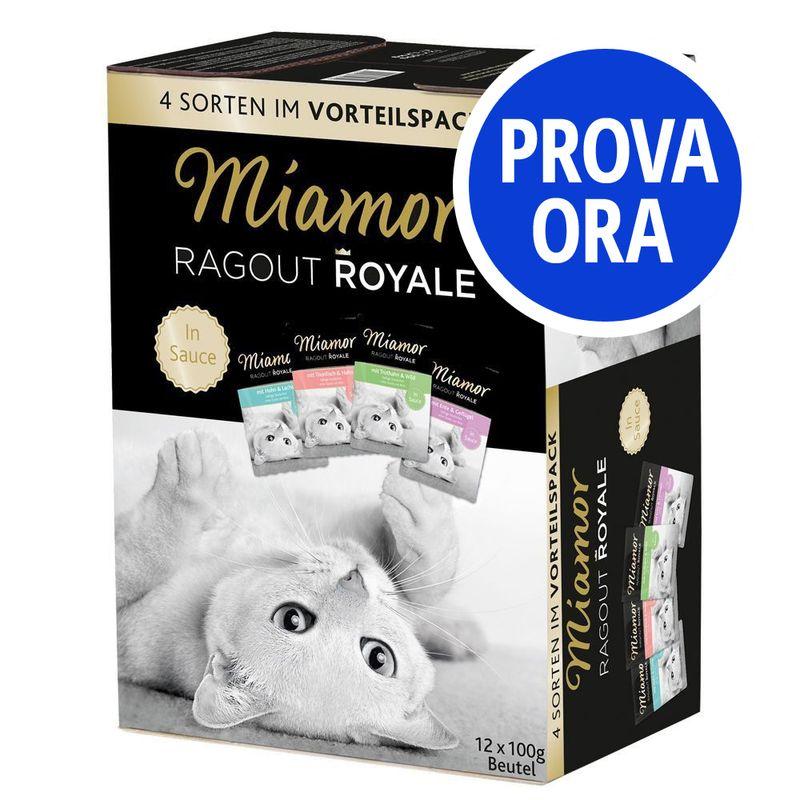 Bitiba Provalo Miamor Ragù Royal in Salsa 12 x 100 g I Più Venduti