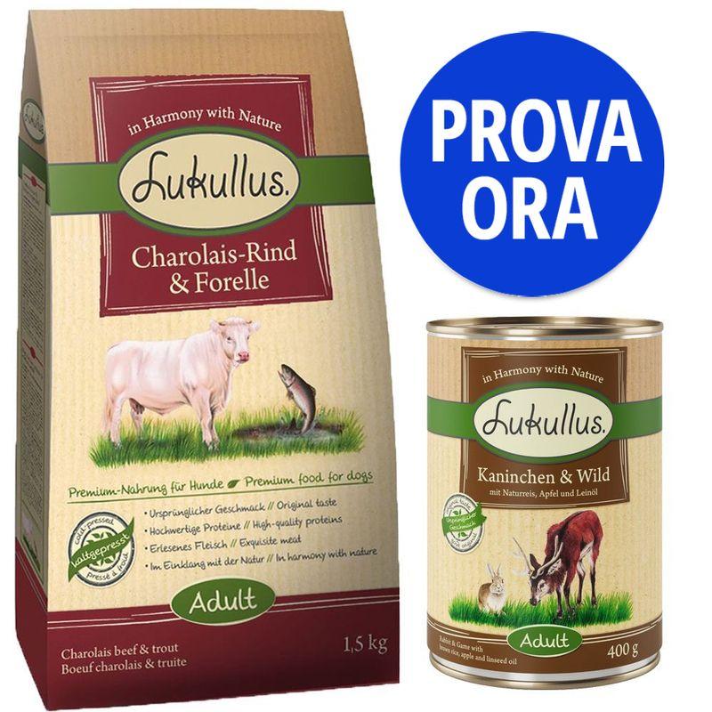 Bitiba Provalo Lukullus 1 5kg crocchette + 400g umido Adult Coniglio & Selvaggina