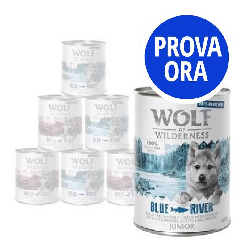 Bitiba Provalo Wolf of Wilderness Junior umido per cane