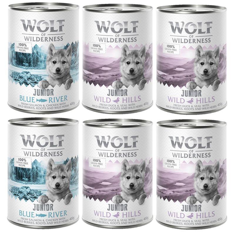 Bitiba Provalo Wolf of Wilderness Junior umido per cane Prezzo di fabbrica