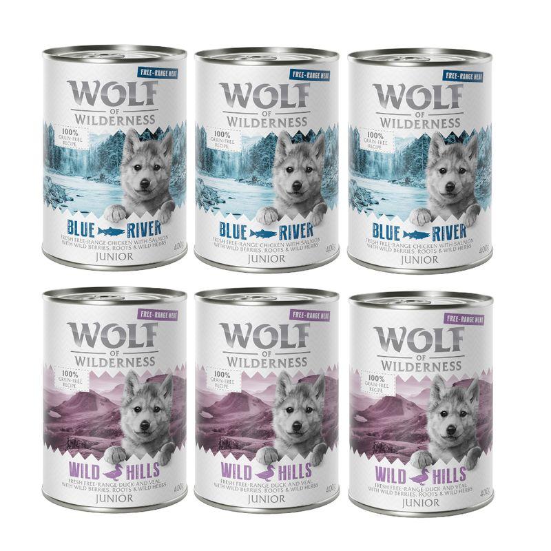 Bitiba Provalo Wolf of Wilderness Junior umido per cane Prezzo di fabbrica