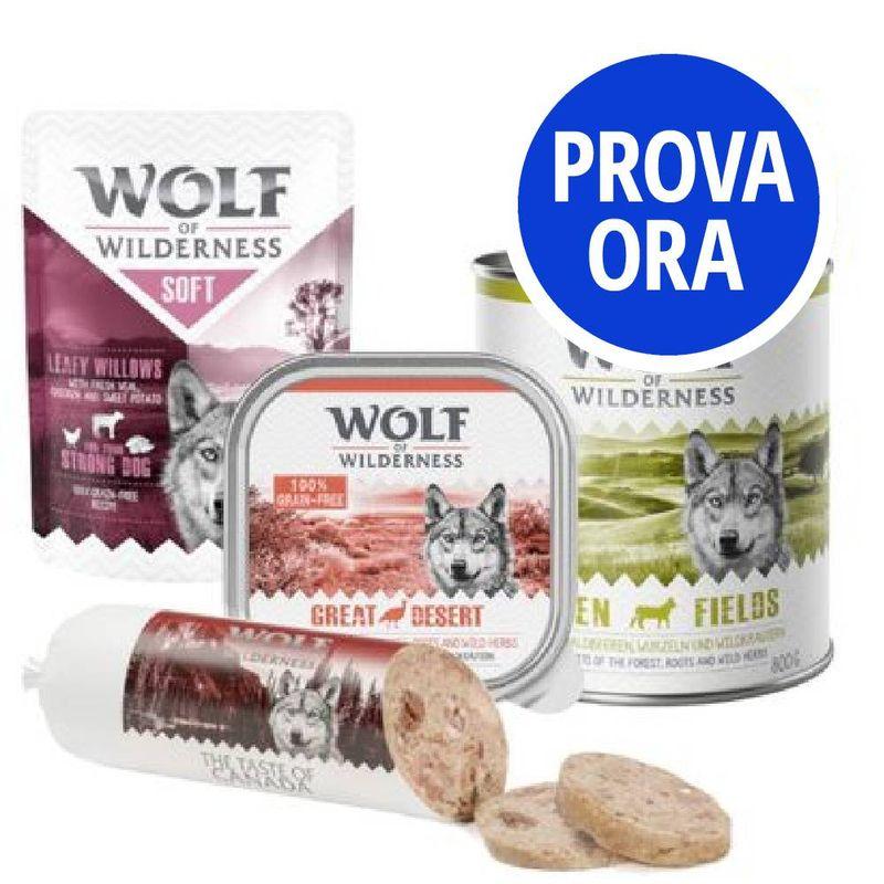 Bitiba Provalo Wolf of Wilderness umido assortito per cane