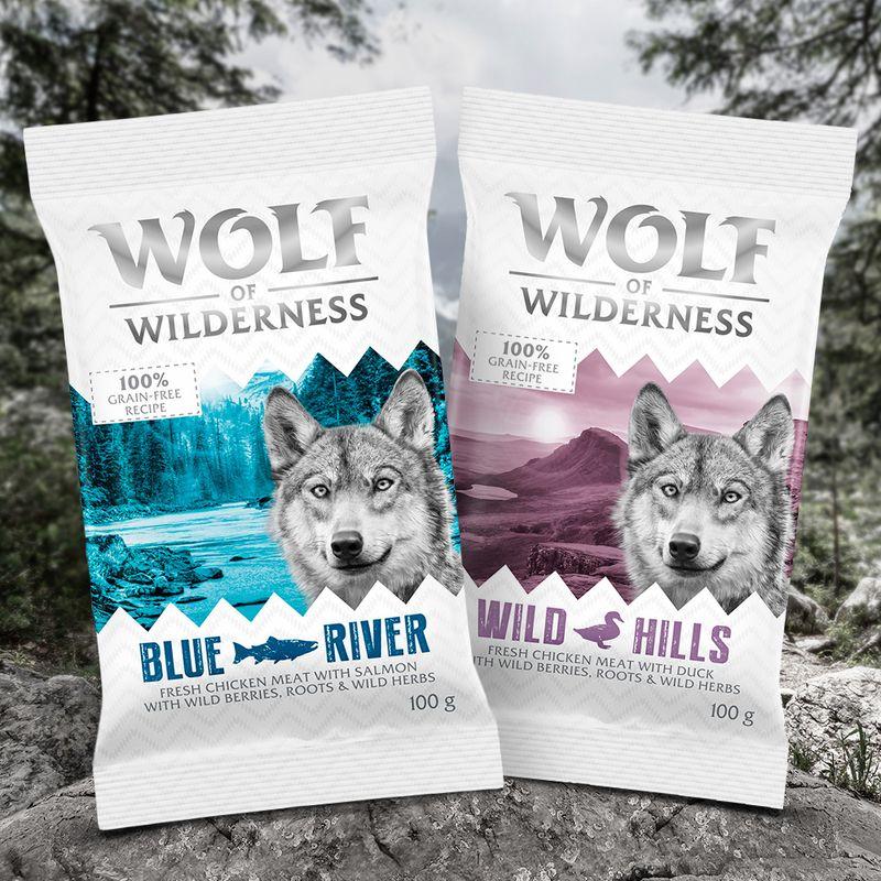 Bitiba Confezione prova Wolf of Wilderness Adult 100 g Crocchette per cane