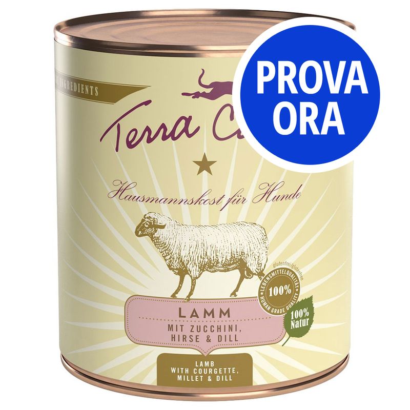 Bitiba Provalo Set misto Terra Canis 12 x 800 g Black Friday