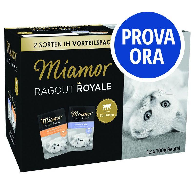Bitiba Provalo Miamor Ragù Royal Kitten 12 x 100 g