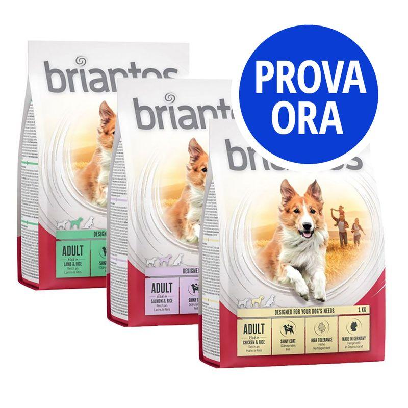 Bitiba Provalo 3 x 1 kg Briantos Adult