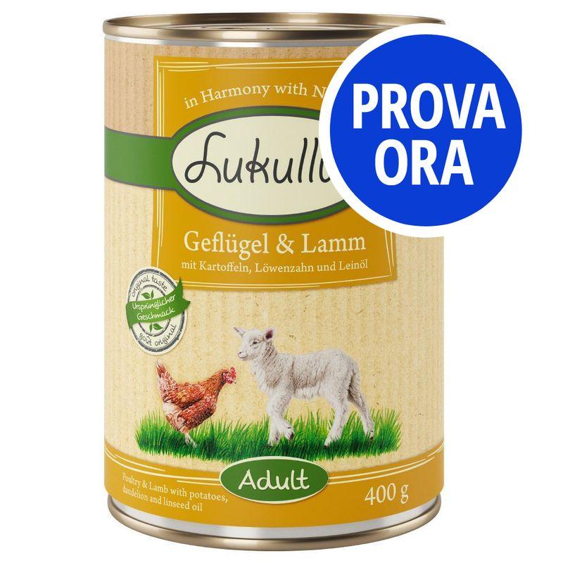 Bitiba Provalo Lukullus Senza Cereali 6 x 300 / 400 g / 800 g umido cane
