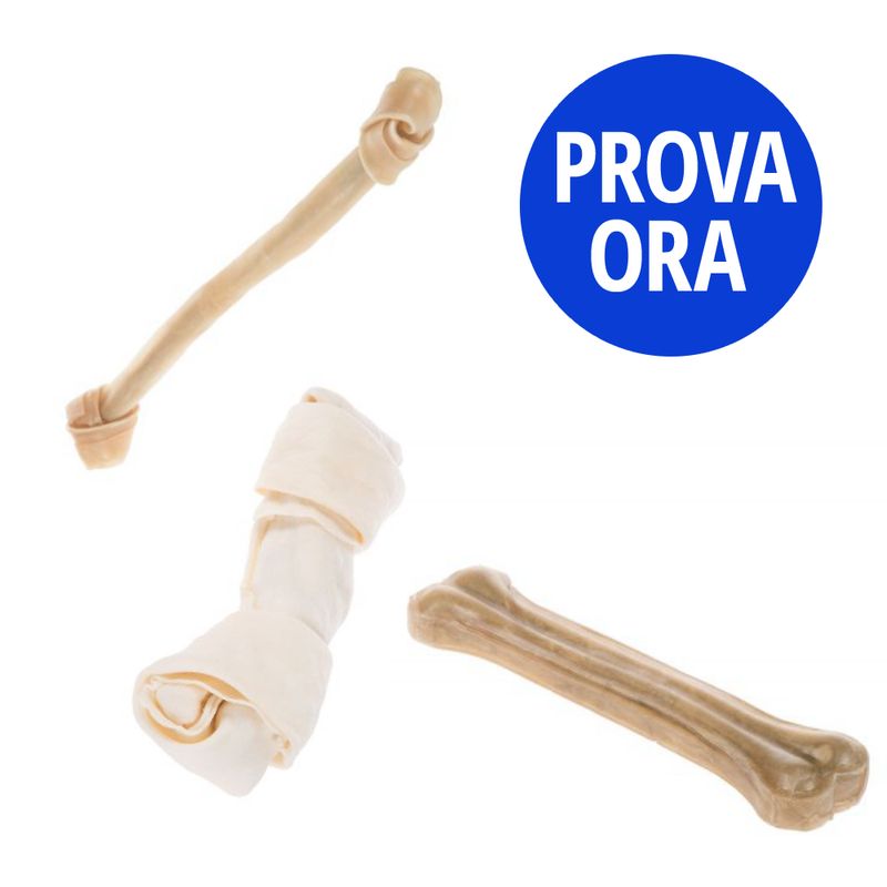 Bitiba Provalo Set misto Barkoo Ossi Offerta temporanea