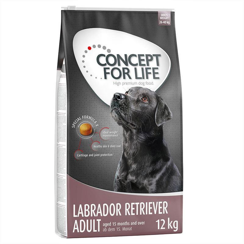 Bitiba Fai scorta 2 x Concept for Life Crocchette per cani Offerte esclusive