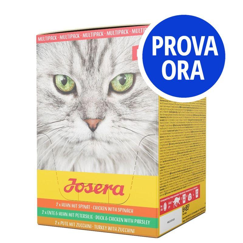 Bitiba Provalo Paté Josera misto