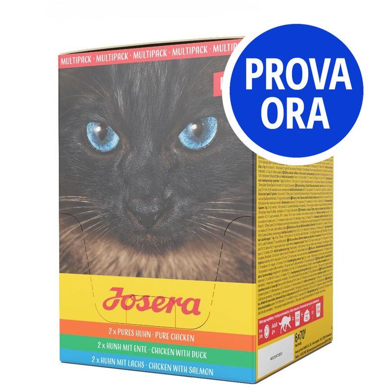 Bitiba Provalo Filetti Josera misti