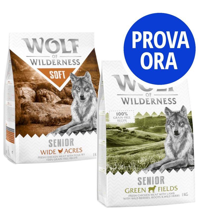 Bitiba Provalo Wolf of Wilderness Senior 2 x 1 kg