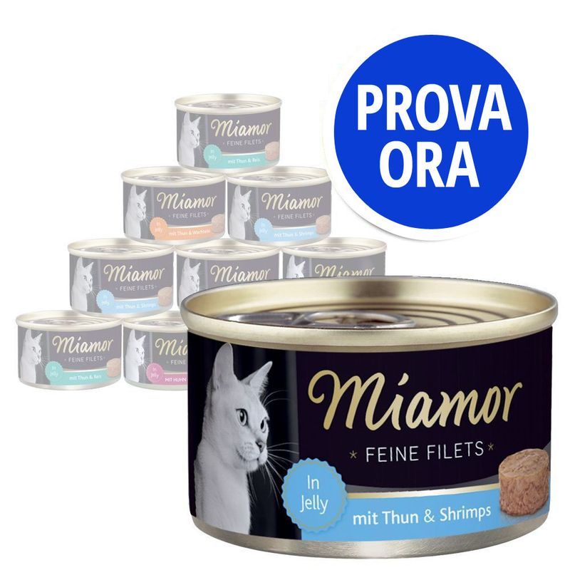 Bitiba Provalo Miamor Feine Filets in Gelatina 12 x 100 g