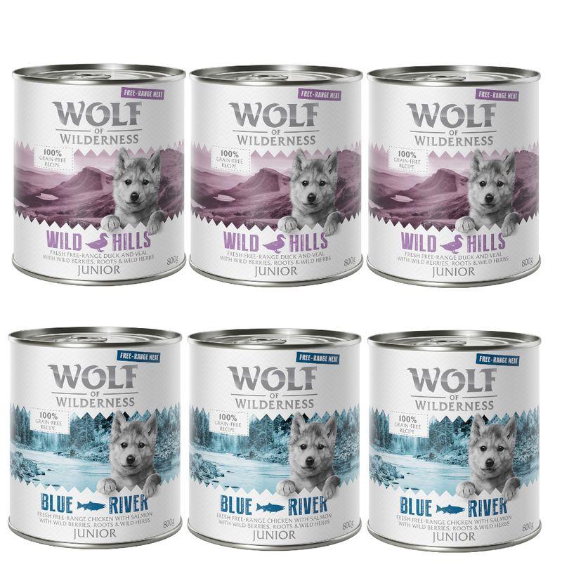 Bitiba Wolf of Wilderness Pacco misto 6 x 800 g umido per cane Offerta settimanale