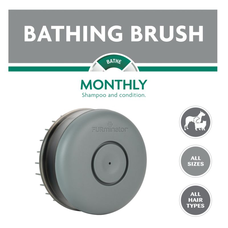 Bitiba FURminator Bathing Brush Only for today
