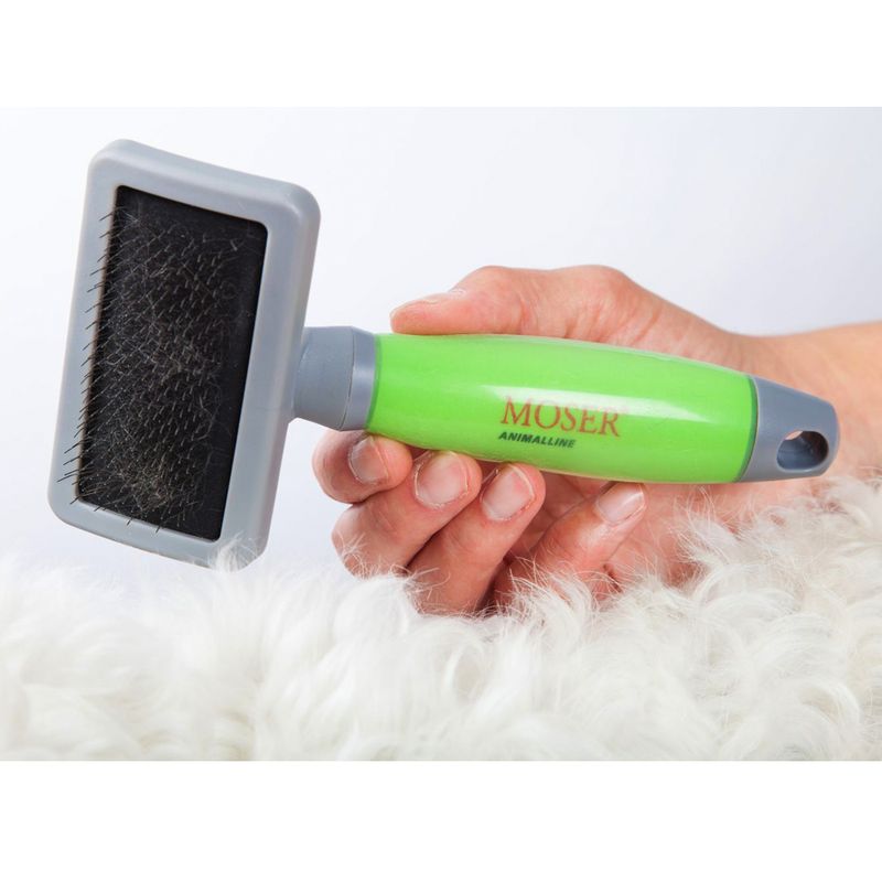 Bitiba Spazzola per cani Moser Super sconto