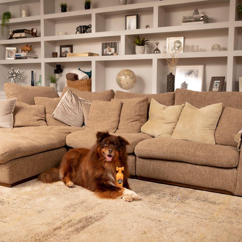 Bitiba Pet Head Shampoo Ditch The Dirt Duty-free